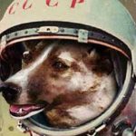 Laika Soviet Space Dog