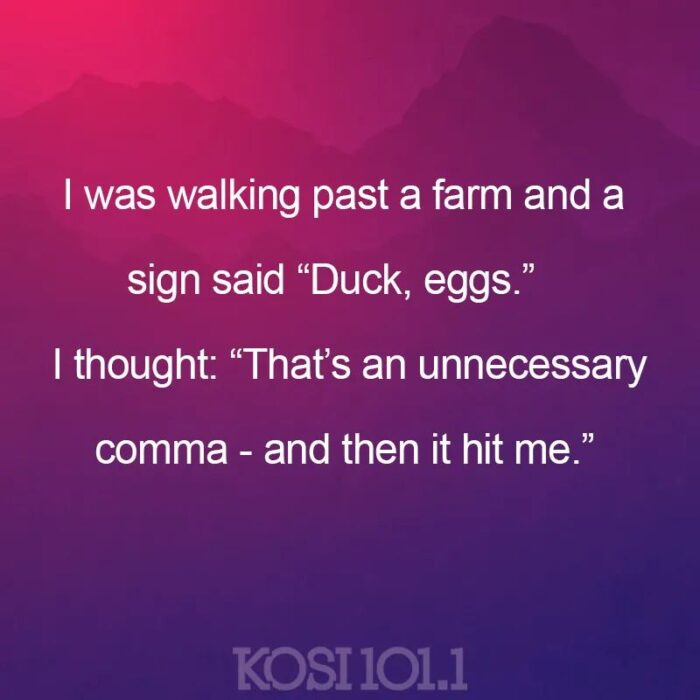 Duck eggs, comma or no comma?