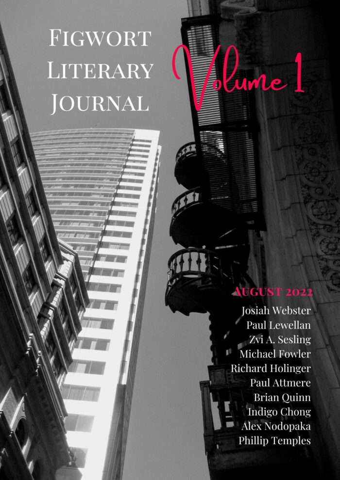 Figworts Literary Journal Vol. 1 front cover