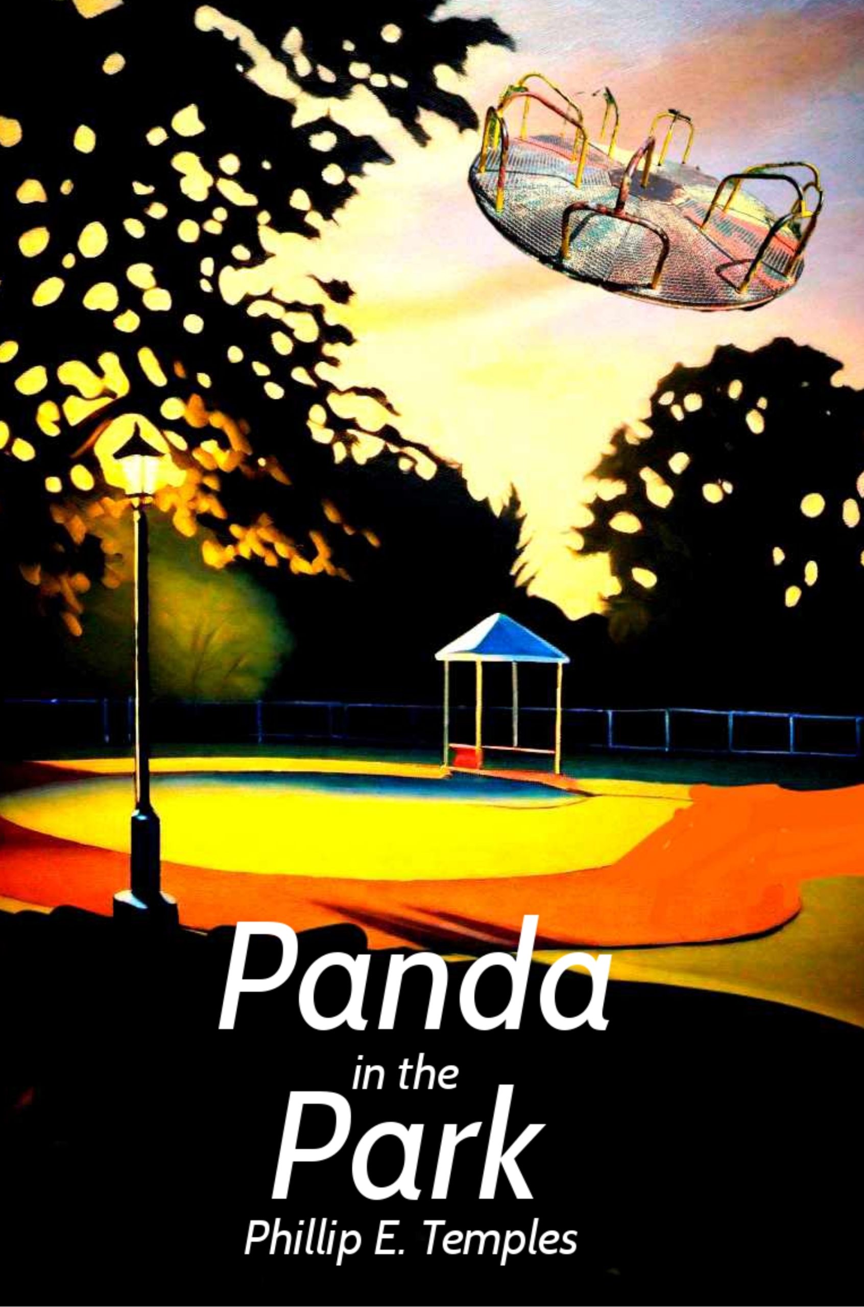 Panda in the Park book cover